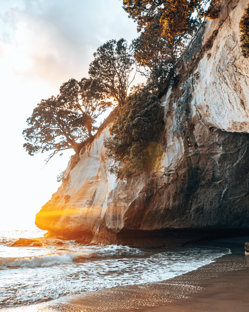 Coromandel