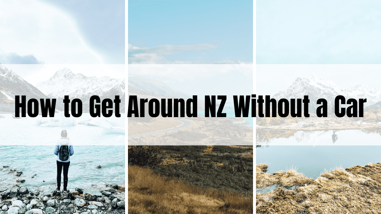 Getting Around New Zealand Without a Car