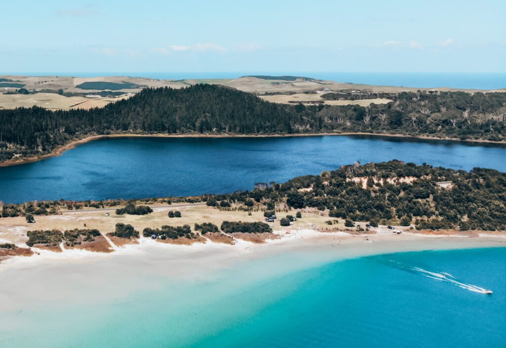 Getting around New Zealand without a car