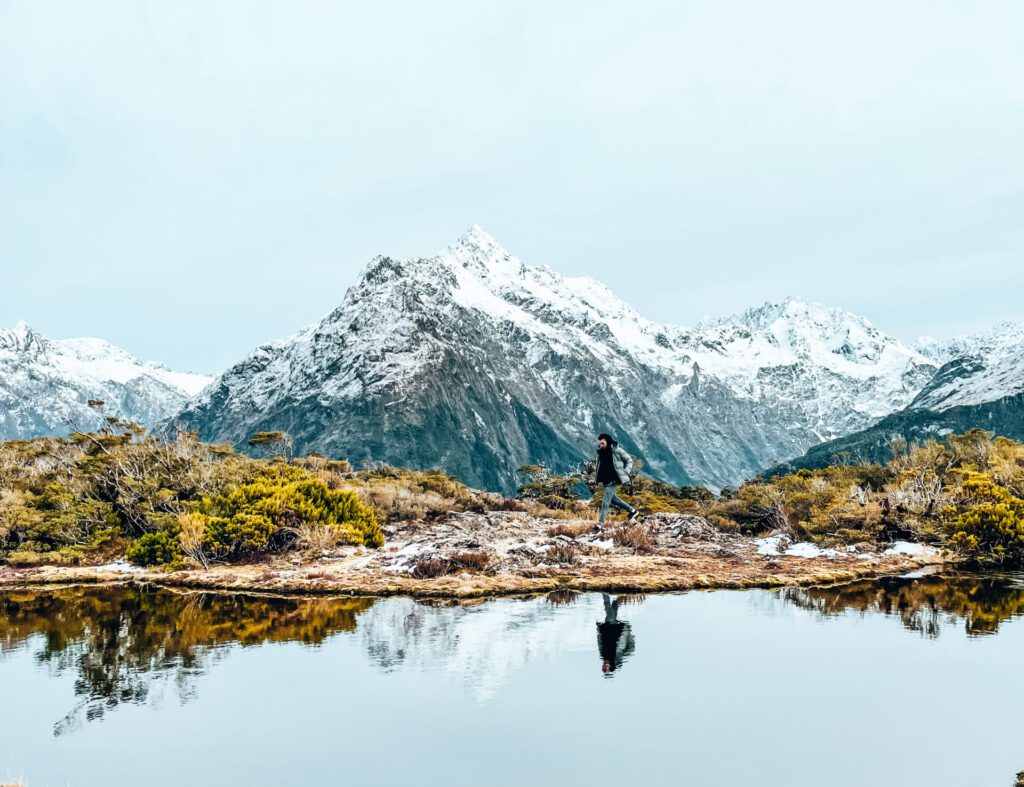 Getting around New Zealand without a car