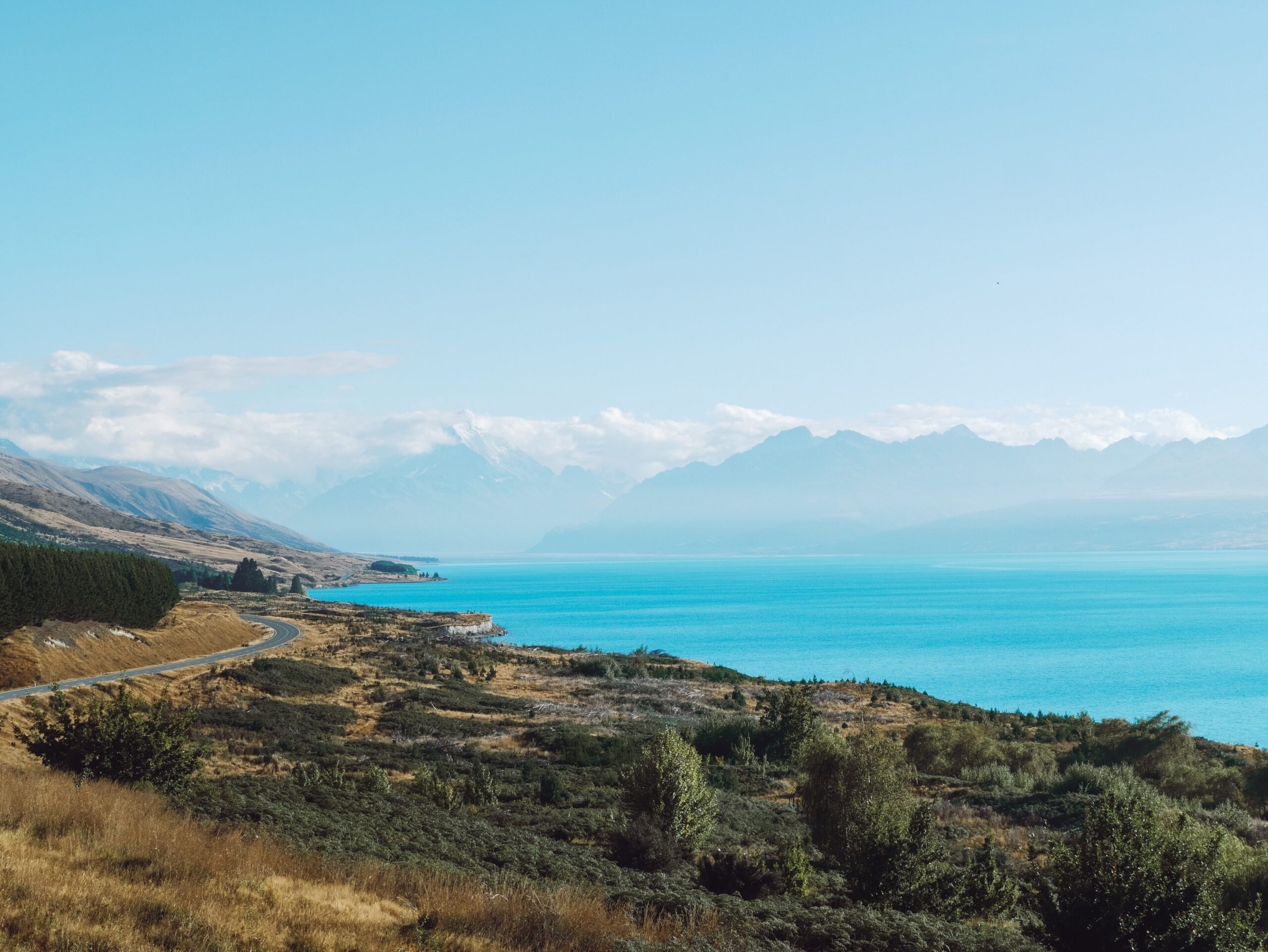 Getting around New Zealand without a car_2