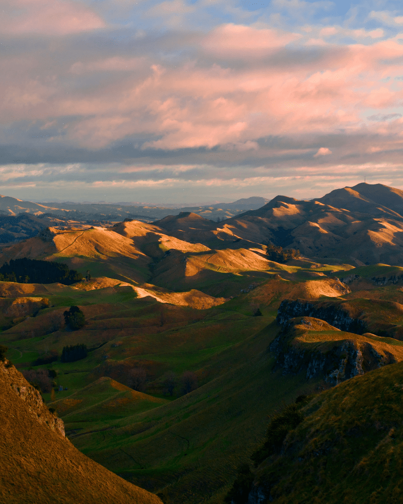 Hawke’s Bay