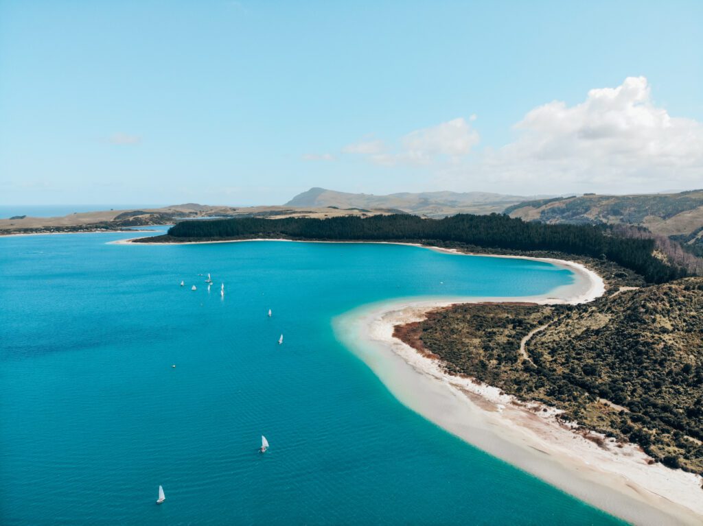 getting around New Zealand without a car