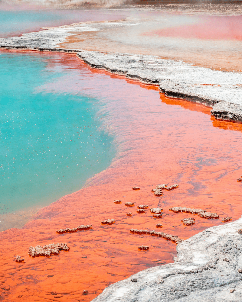 Rotorua