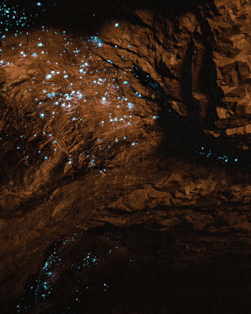 Waitomo Caves