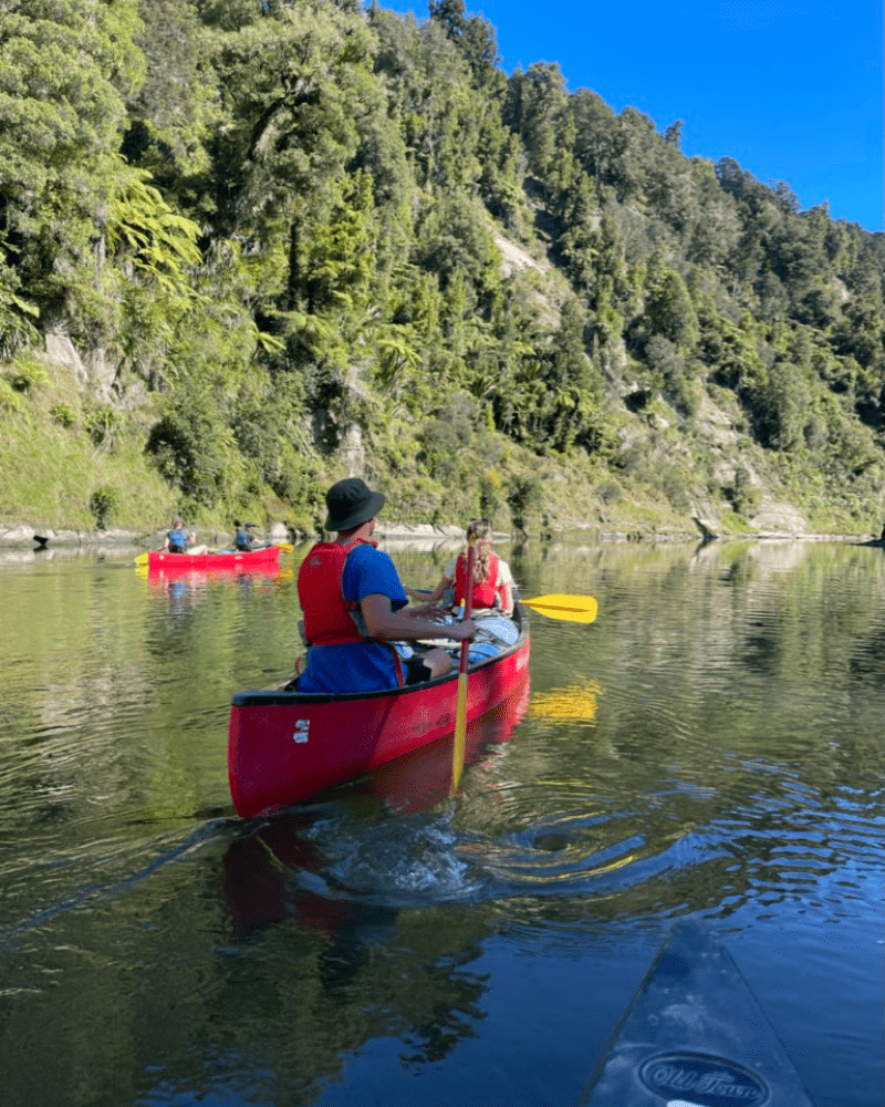 Whanganui National Park