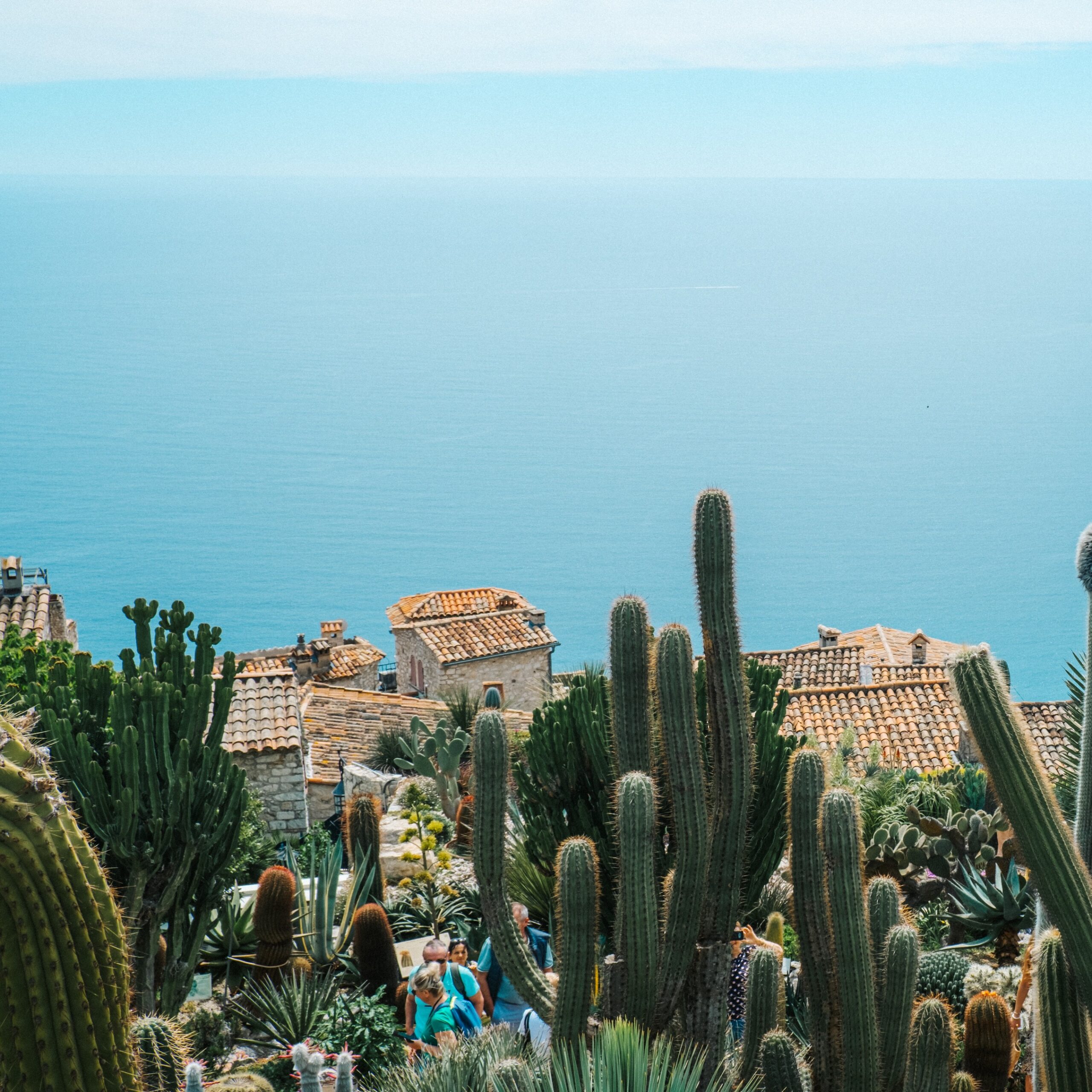 Pictures of French Riviera