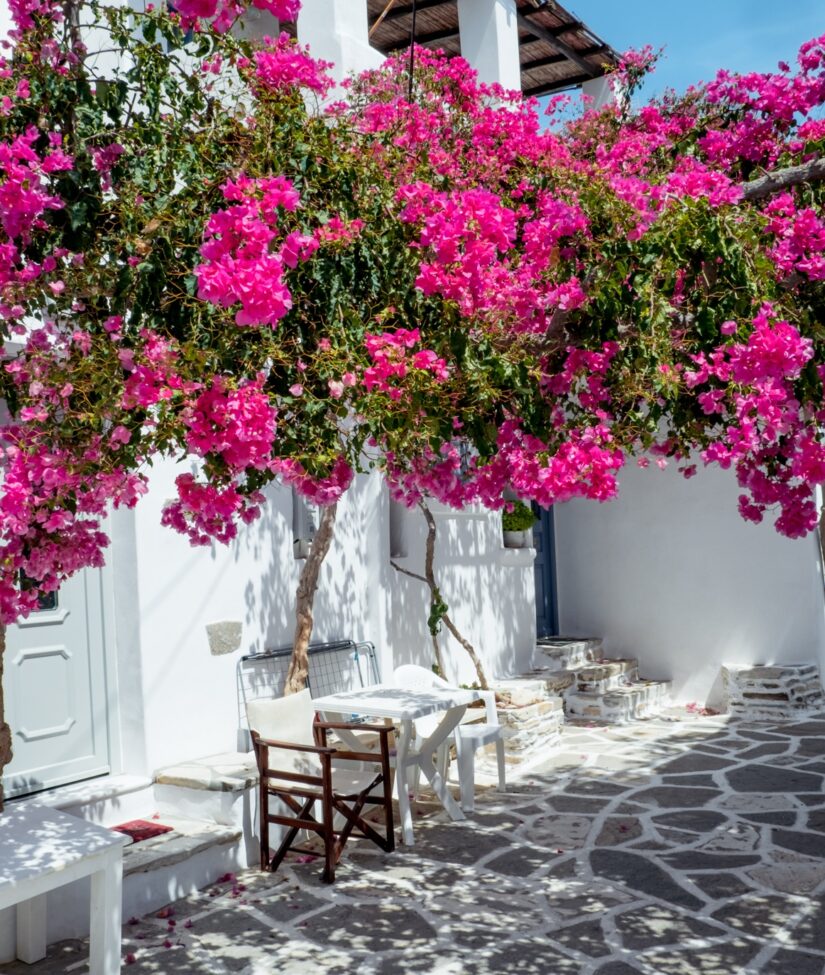 top 10 things to do in paros greece